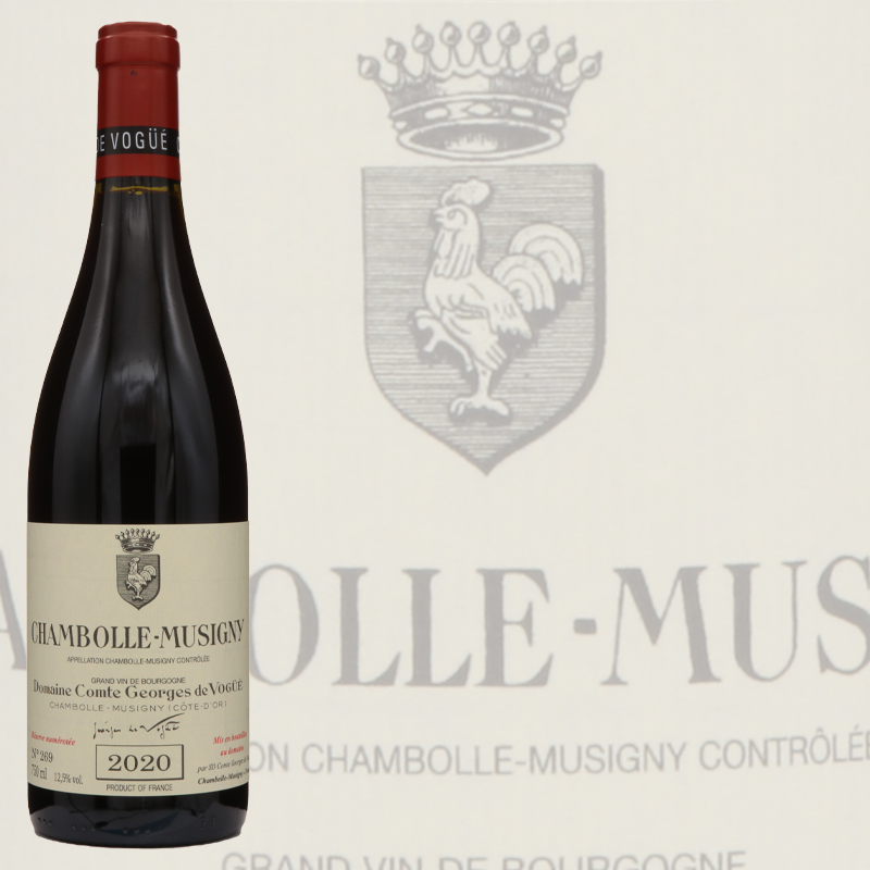 シャンボール・ミュジニィの頂点 ヴォギュエ シャンボール・ミュジニー2020