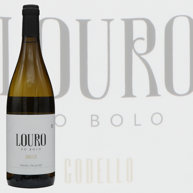 スペイン　ラファエル・パラシオス・ロウロ　白2023