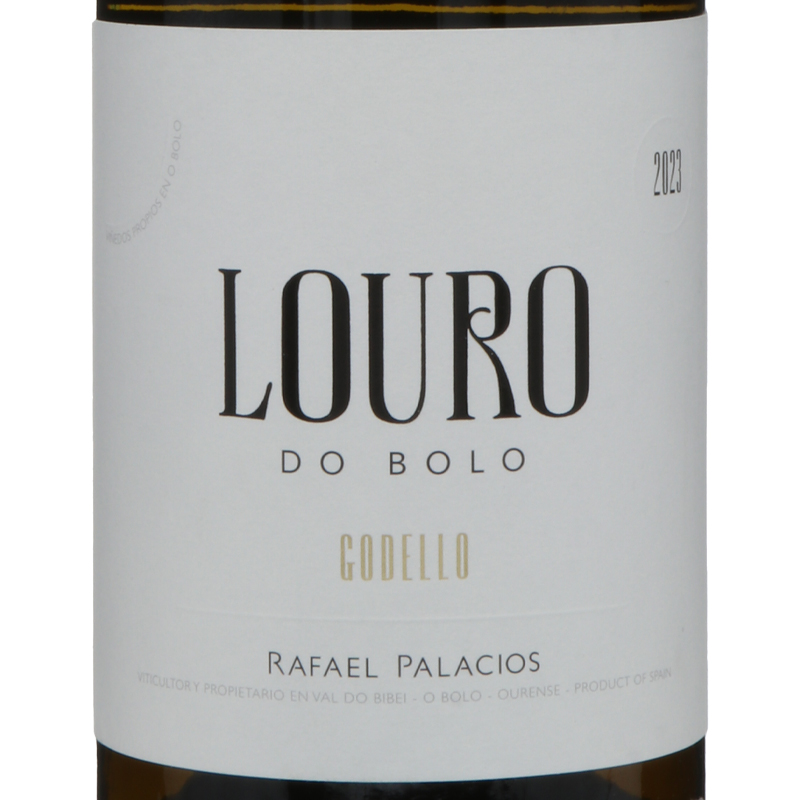 スペイン　ラファエル・パラシオス・ロウロ　白2023