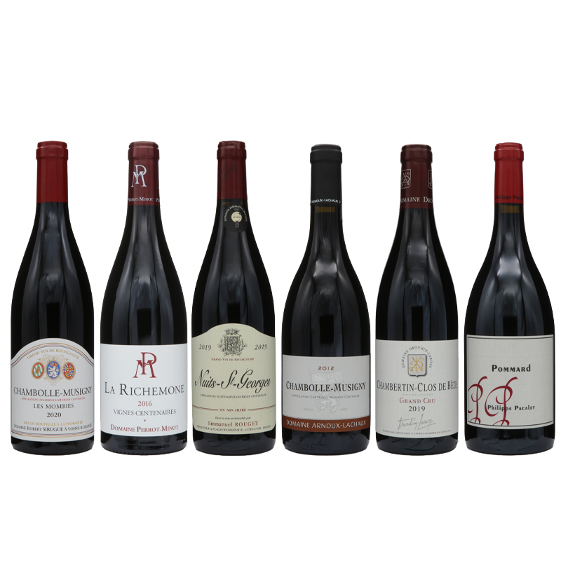 入手困難ブルゴーニュ有名生産者赤6本セット ドメーヌ ペロミノ/ フィリップ・パカレ/ ドメーヌ･ロベール･シリュグ / アルヌー ラショー /ドルーアンラローズ/ ドメーヌ・エマニュエル・ルジェ